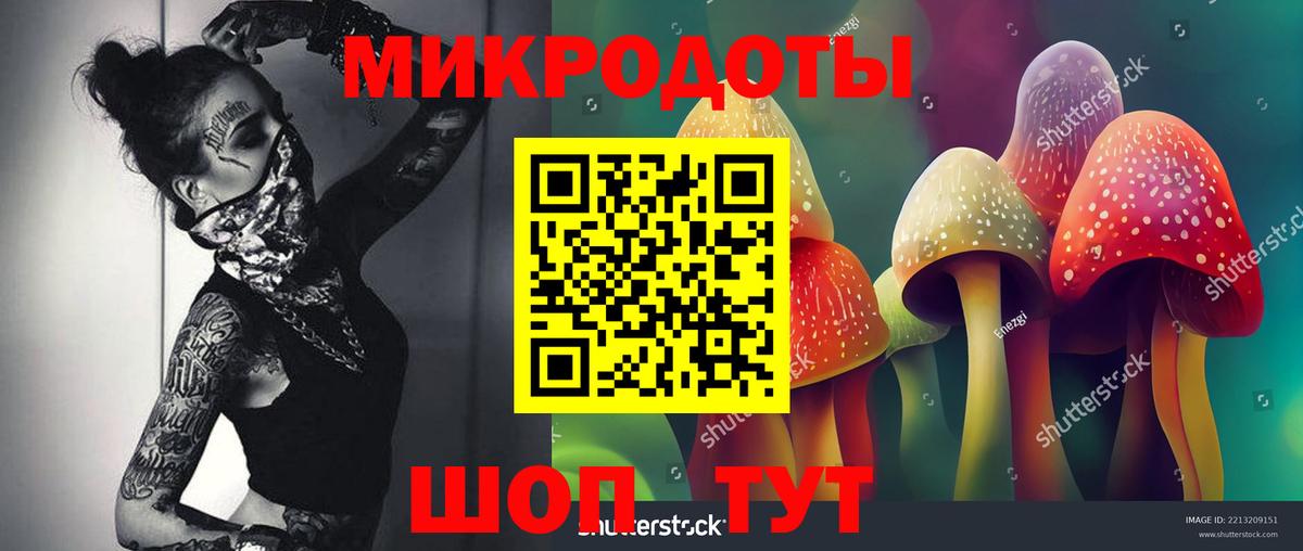 Рузаевка  Галлюциногенные грибы GOLDEN TEACHER  где найти наркотики  Вход с VPN 