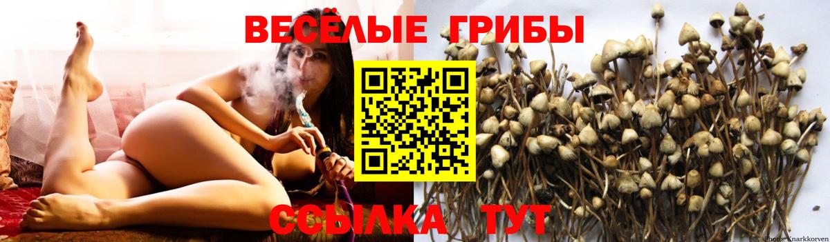 Галлюциногенные грибы MAGIC MUSHROOMS Рузаевка
